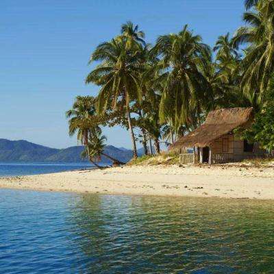 球探比分旧版大全app下载